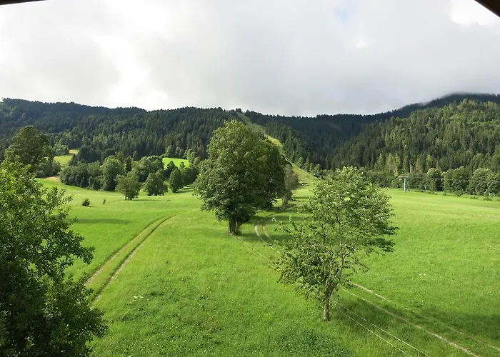 Appartement Marchanger Niederau